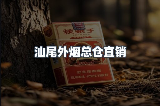 汕尾外烟总仓直销